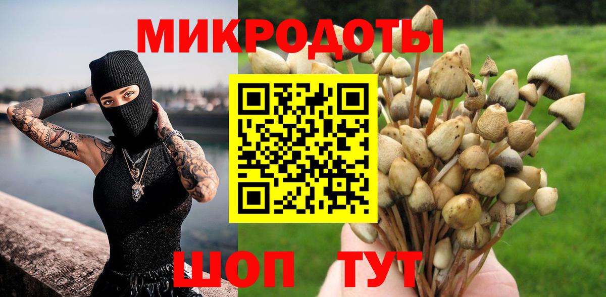Кисловодск  Галлюциногенные грибы GOLDEN TEACHER  Вход с VPN  Псилоцибиновые грибы Cubensis 